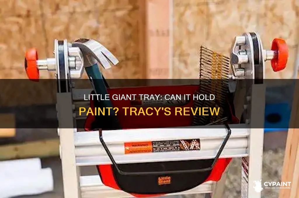 does little giant tray hold paint tracy