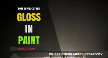 Lo-Vel's Impact: Reducing Gloss in Paint – A Comprehensive Guide