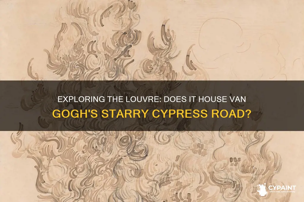 does louvre have the road with cypress and star painting