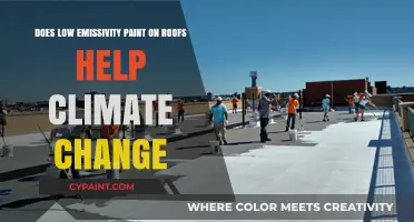 How Emissivity Paint on Roofs Can Help Fight Climate Change