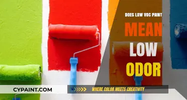Low VOC Paint: Does It Really Mean Low Odor?