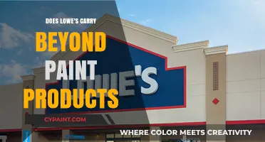 Beyond Paint at Lowe's: Availability and Product Options Explained