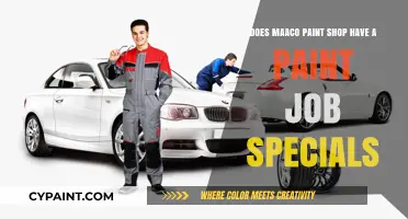 Maaco Paint Shop: Any Current Deals on Paint Jobs?