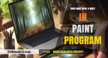 Does Mac Have a Built-In Paint Program? Exploring Alternatives
