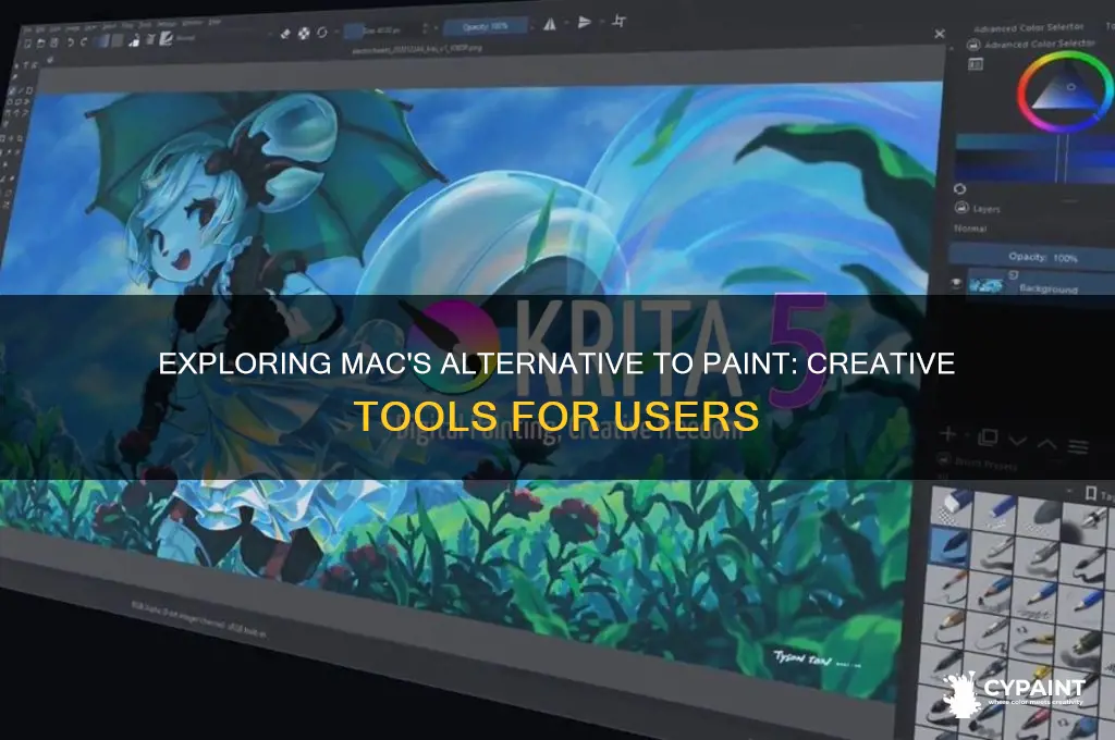does mac have a version of paint