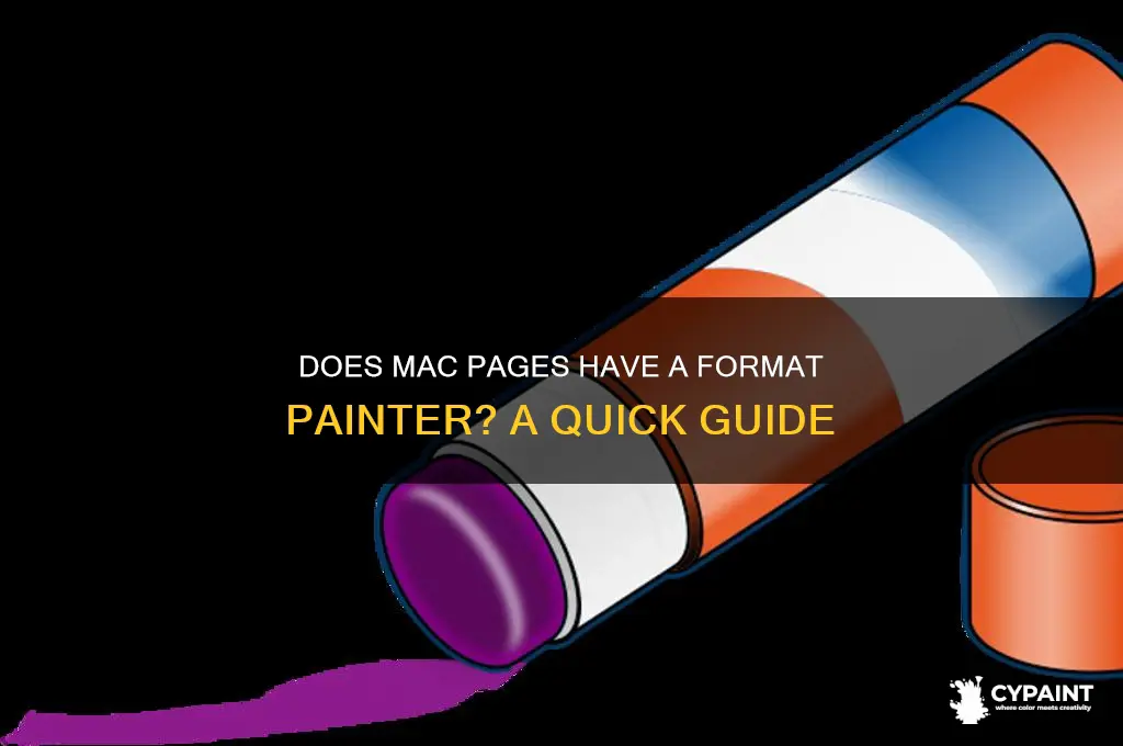 does mac pages have a format painter