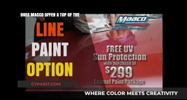 Macco's Premium Paint: Is It the Top-of-the-Line Option?