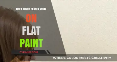 Magic Eraser on Flat Paint: Effective Solution or Risky Choice?