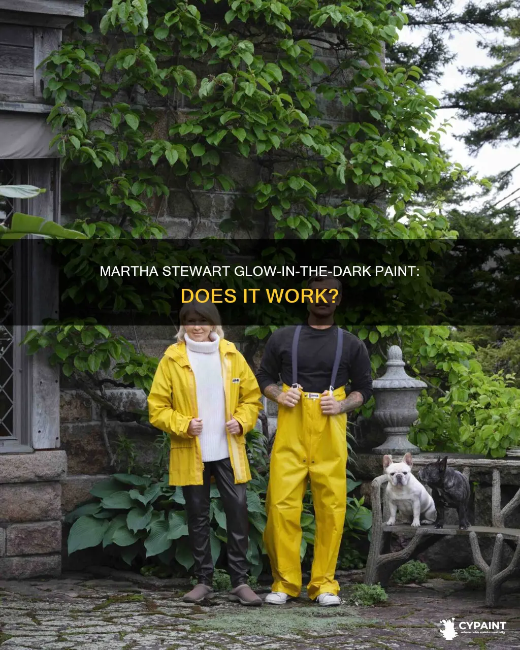does martha stewart glow in the dark paint work