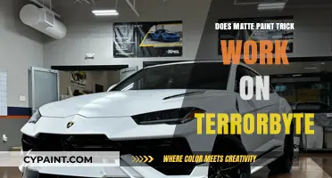 Does Matte Paint Enhance Terrorbyte Stealth in GTA Online?