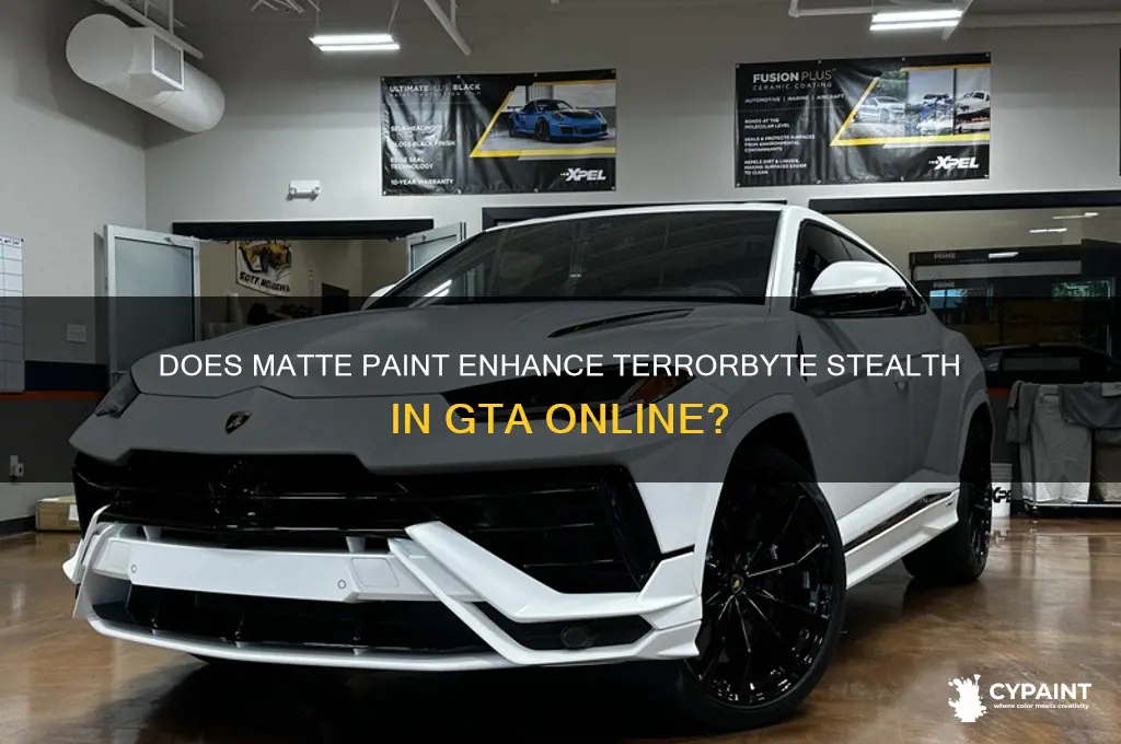 does matte paint trick work on terrorbyte