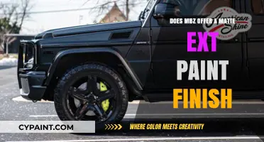 Does MBZ Offer Matte Exterior Paint Finish? A Comprehensive Guide