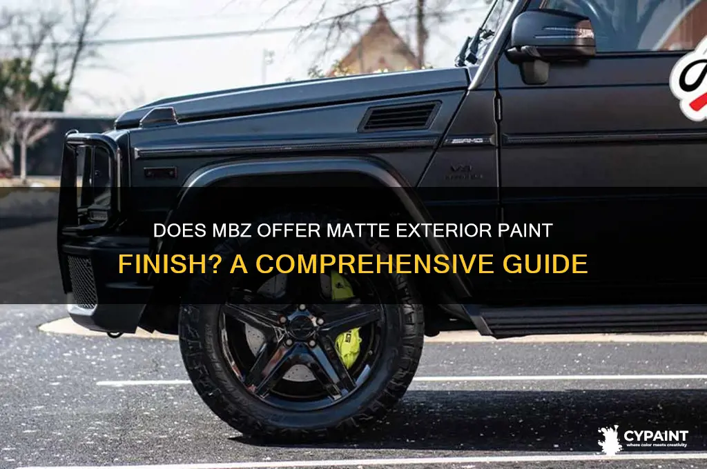 does mbz offer a matte ext paint finish
