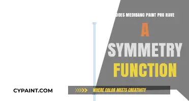 Medibang Paint Pro Symmetry Tool: Features and Functionality Explained