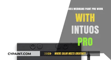 Medibang Paint Pro and Intuos Pro: Compatibility Guide for Artists