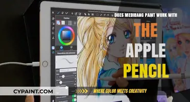 Does Medibang Paint Support Apple Pencil for Digital Art?