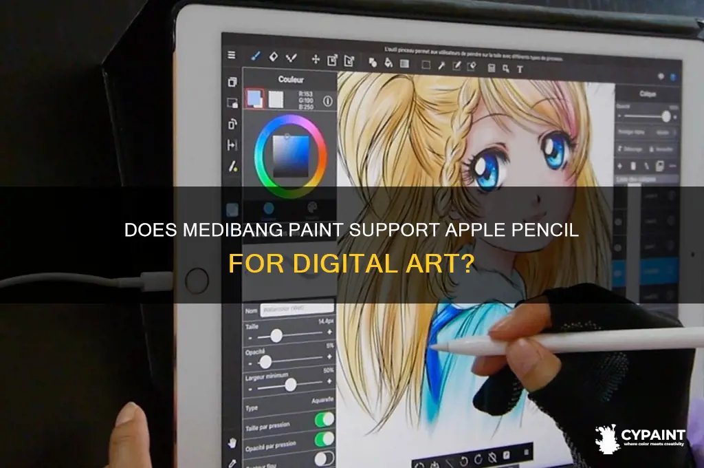 does medibang paint work with the apple pencil