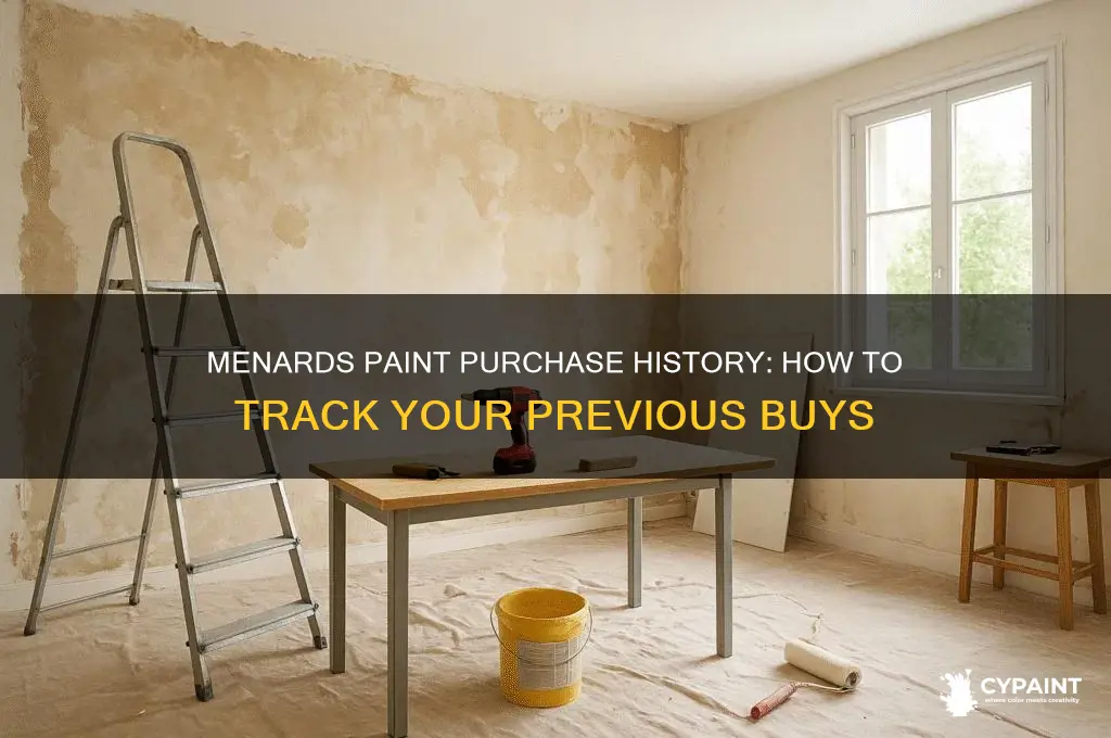 does menards have a record of the paint i bought