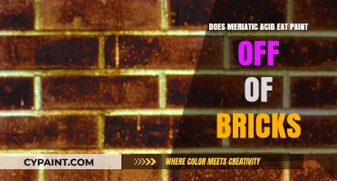Can Muriatic Acid Damage Brick Paint? A Comprehensive Guide