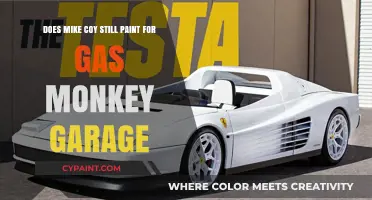 Gas Monkey Garage: Is Mike Coy Still Painting?