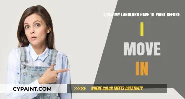 Landlord Responsibilities: Must They Paint Before You Move In?