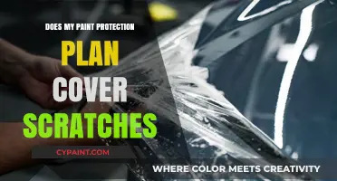Does Paint Protection Cover Scratches? Understanding Your Plan's Coverage