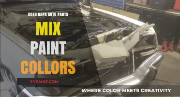 Does Napa Auto Parts Mix Paint Colors? A Comprehensive Guide