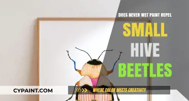 Does Never Wet Paint Repel Small Hive Beetles? Find Out Here