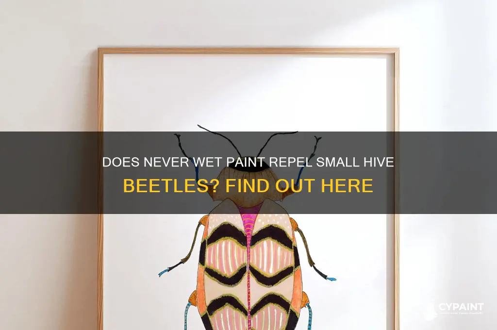 does never wet paint repel small hive beetles