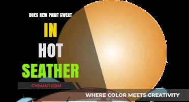 Does New Paint Sweat in Hot Weather? Understanding Causes and Solutions