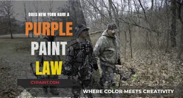 Understanding New York's Purple Paint Law: What You Need to Know