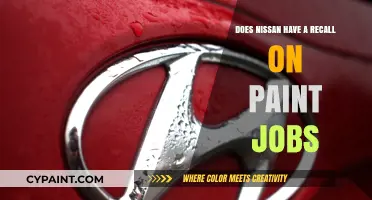 Nissan Paint Recall: What You Need to Know About Potential Issues