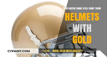 The Golden Dome: Notre Dame's Iconic Helmet Tradition