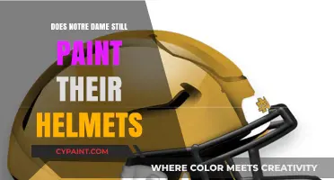 Notre Dame Helmets: Tradition Unchanged or Painted Over?