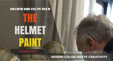 Notre Dame Helmets: Unveiling the Truth About Gold Paint