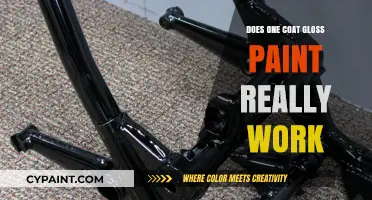 One Coat Gloss Paint: Does It Deliver on Its Promise?