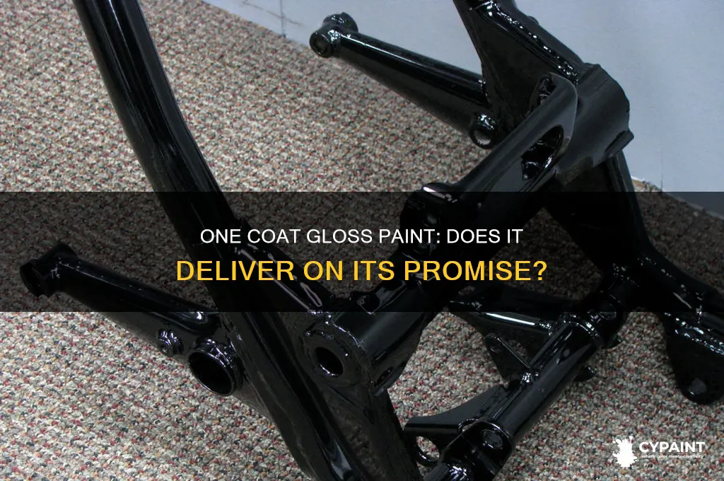 does one coat gloss paint really work