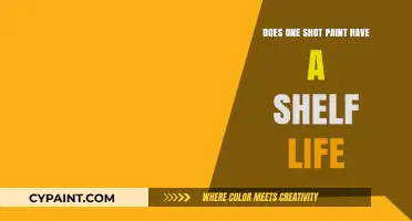 Does One Shot Paint Expire? Shelf Life Explained