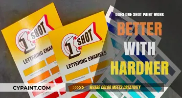 Enhancing One-Shot Paint Performance: The Role of Hardener Explained