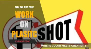 One-Shot Paint on Plastic: Does It Really Work?