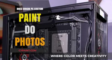 Can Origin PC Custom Paint Jobs Include Personal Photos?