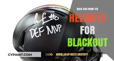 Does Ohio State Paint Helmets for Blackout Games? The Truth