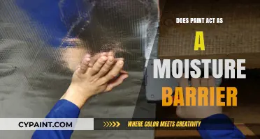 Does Paint Act as a Moisture Barrier? Exploring Its Protective Properties