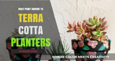 Can Paint Stick to Terra Cotta Planters? Tips and Tricks