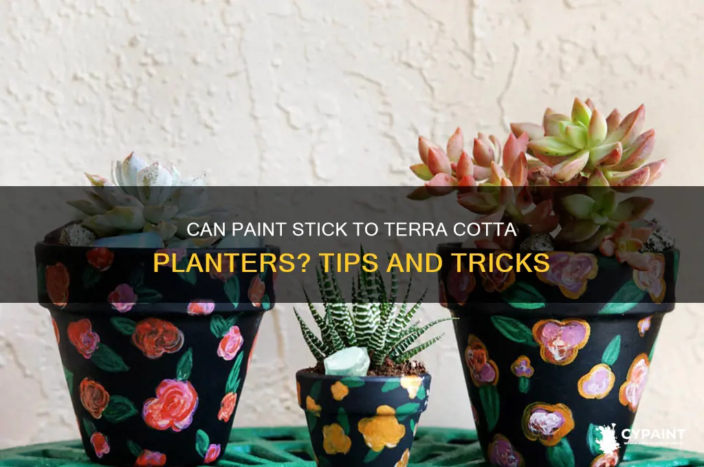 does paint adhere to terra cotta planters