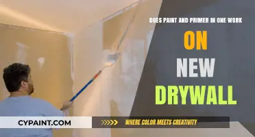 Paint and Primer in One: Effective Solution for New Drywall?
