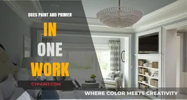 Paint and Primer in One: Effective Solution or Marketing Gimmick?