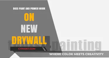 Can You Paint New Drywall Without Primer? Expert Tips and Advice
