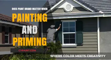 Does Paint Brand Matter for Painting and Priming? Expert Insights