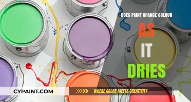 Does Paint Change Color as It Dries? Unveiling the Drying Process